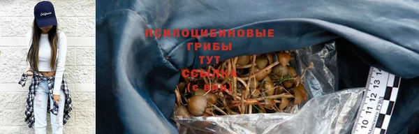 PSILOCYBIN Дмитровск