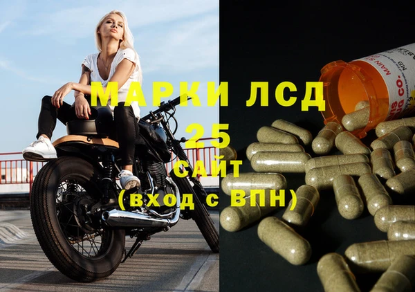 соль ск Елабуга