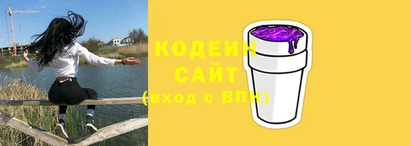 винт Елизово