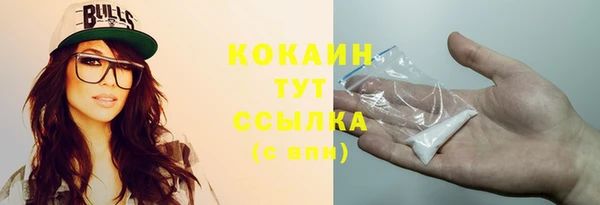 винт Елизово