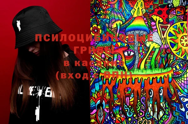 винт Елизово