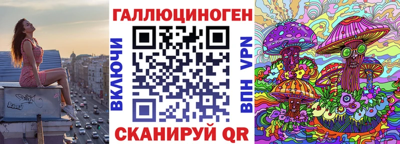 где можно купить наркотик  Закаменск  Псилоцибиновые грибы ЛСД 