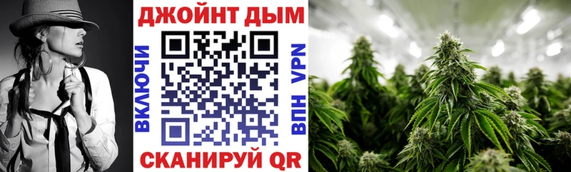 Бошки Шишки планчик  Закаменск 